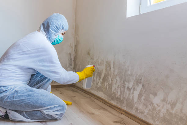 Mold Remediation specialist working in Jeffersonton